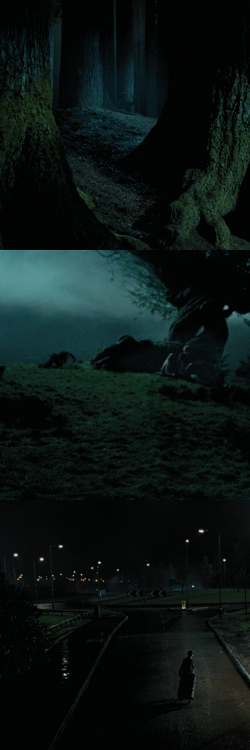 Harry Potter and the prisoner of Azkaban | Alfonso Cuarn